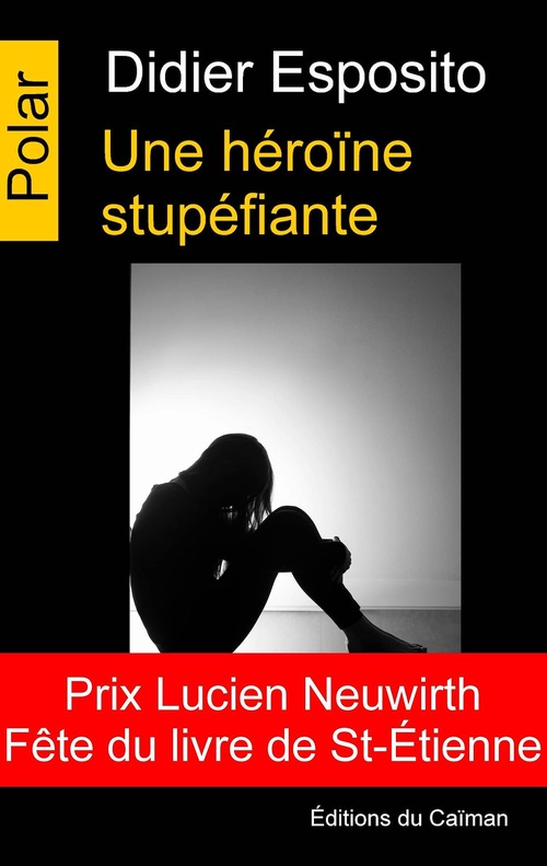 ebook cover of Une héroïne stupéfiante, by Didier Esposito