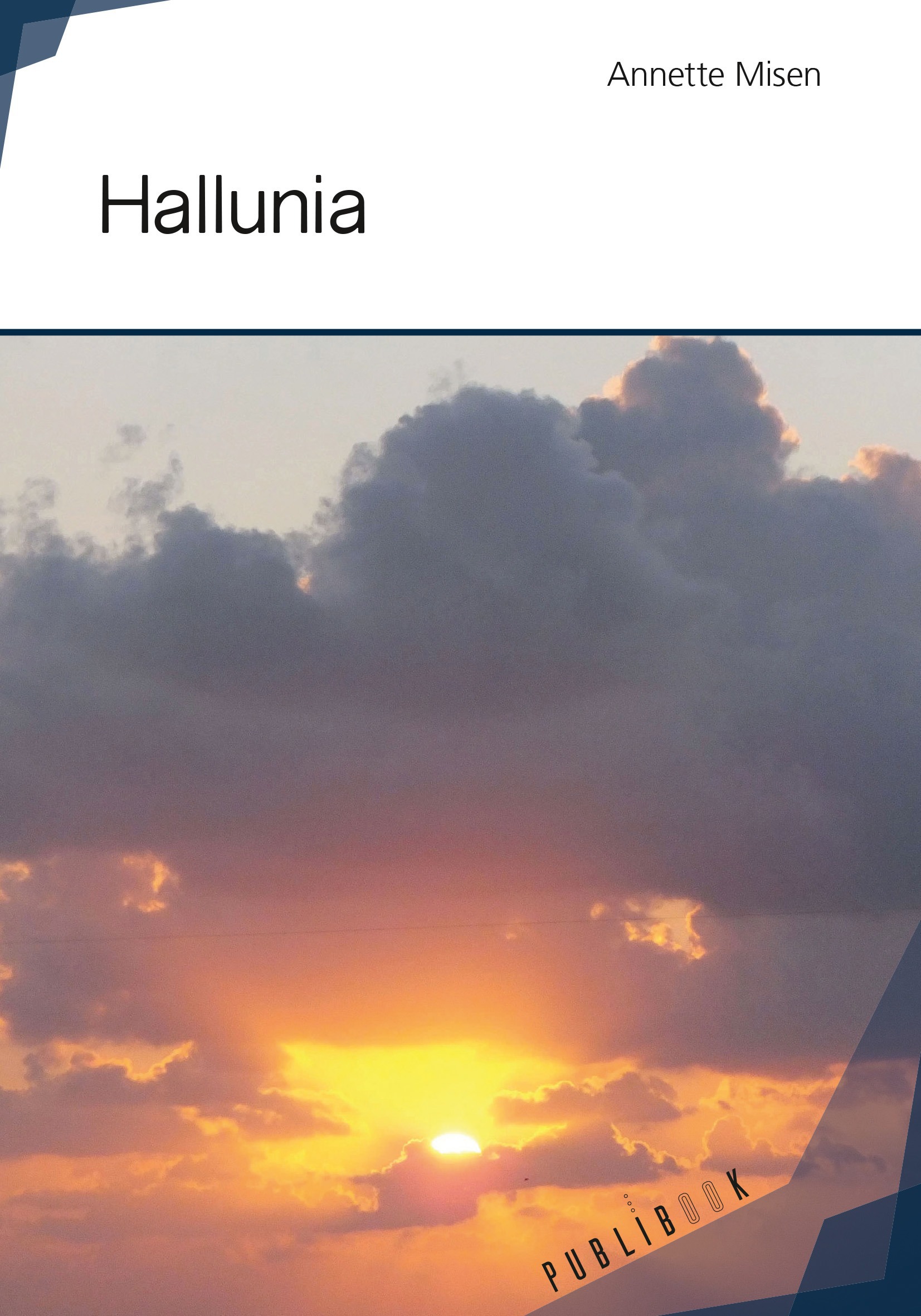 Couverture ebook de Hallunia, de Annette Misen