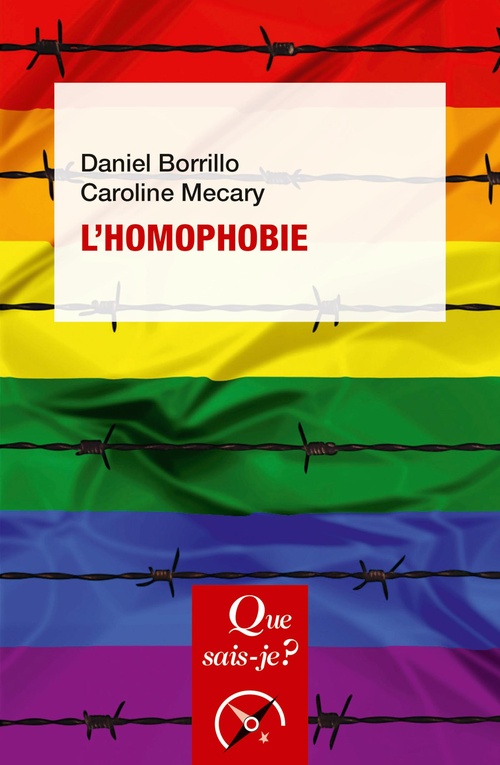ebook cover of L'Homophobie, by Daniel Borillo, Caroline Mécary
