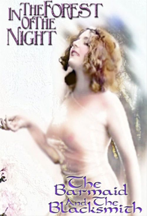ebook cover of In The Forest of the Night & Barmaid & The Blacksmith, by Lizbeth Dusseau
