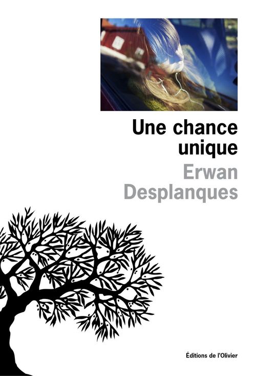 Couverture ebook de Une chance unique, de Erwan Desplanques