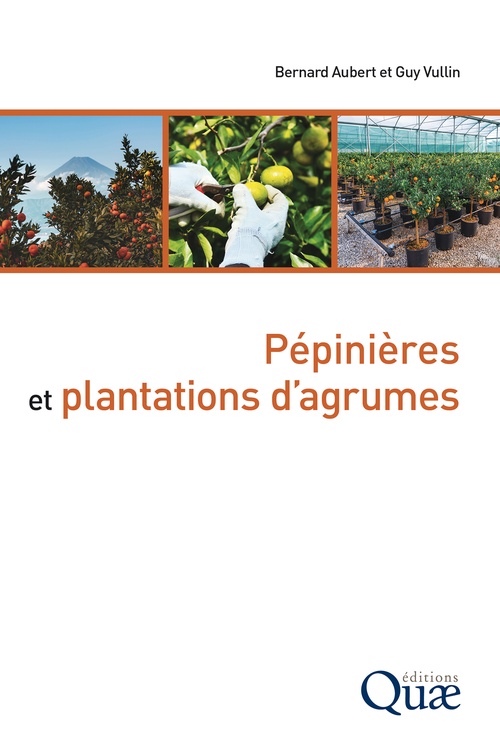 Couverture ebook de Pépinières et plantations d´agrumes, de Guy Vullin, Bernard Aubert