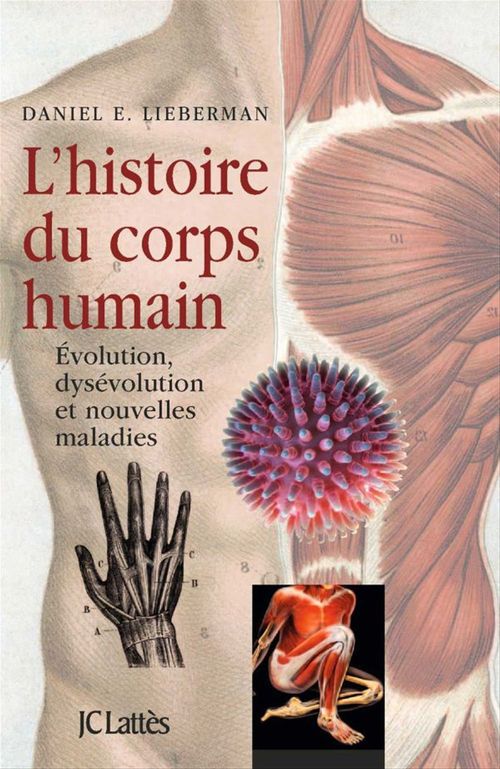ebook cover of L'Histoire du corps humain, by Daniel Lieberman