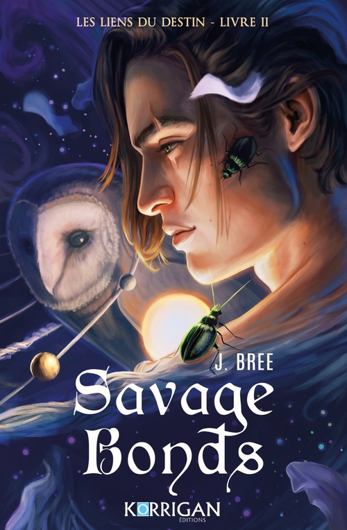 ebook cover of Les liens du destin, by J. Bree