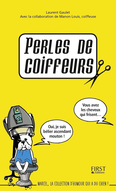 ebook cover of Perles de coiffeurs, by Laurent Gaulet