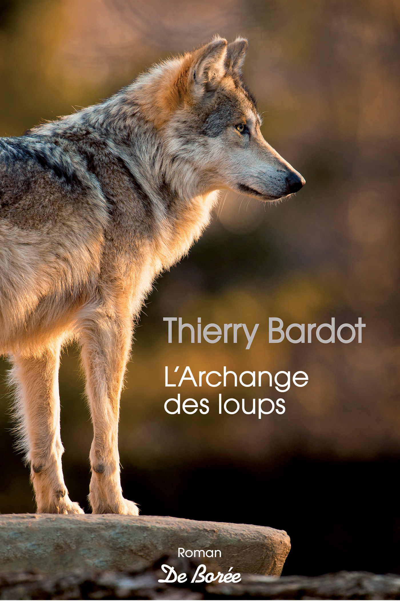 ebook cover of L'Archange des loups, by Thierry Bardot