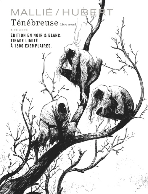 ebook cover of Ténébreuse - Tome 2, by Hubert