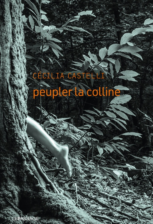 Couverture ebook de Peupler la colline, de Cécilia Castelli