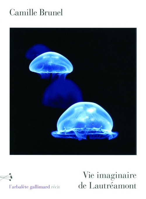ebook cover of Vie imaginaire de Lautréamont, by Camille Brunel