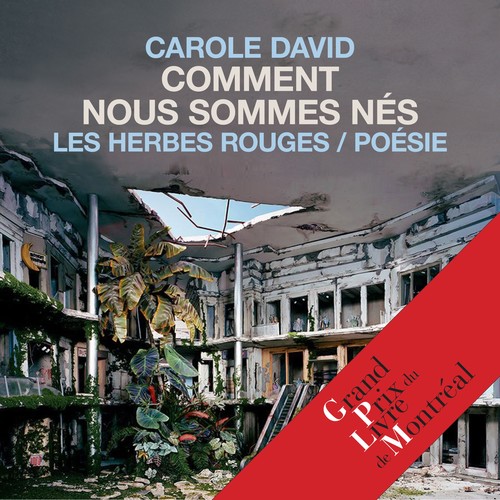 audiobook cover of Comment nous sommes nés, by David Carole