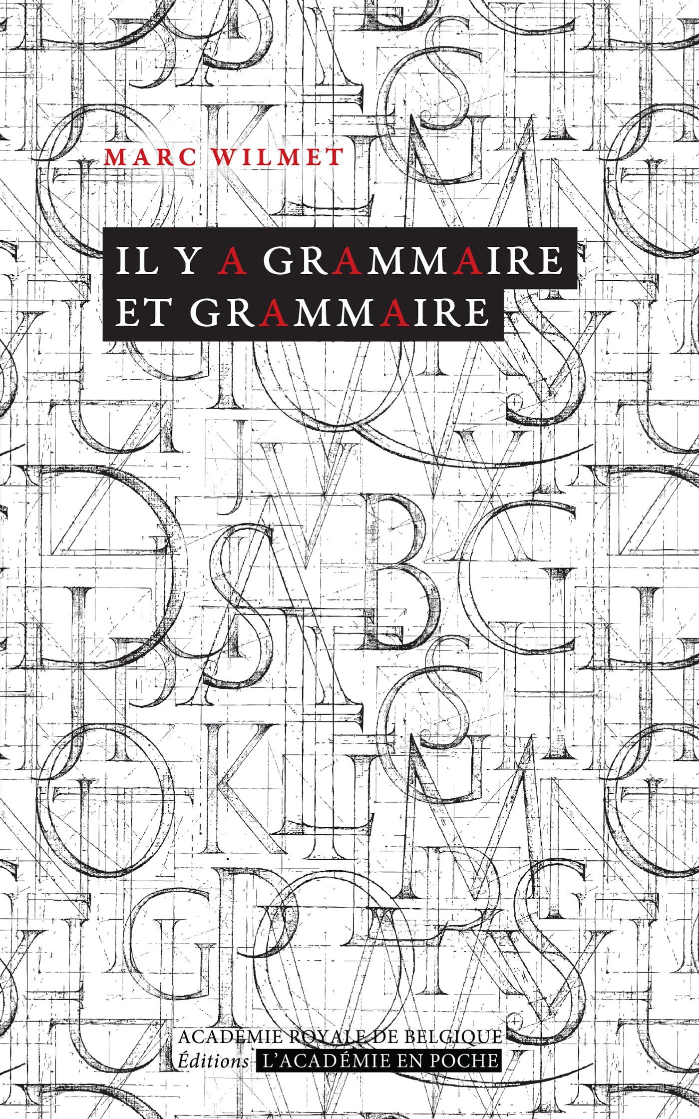 ebook cover of Il y a grammaire et grammaire, by Marc Wilmet