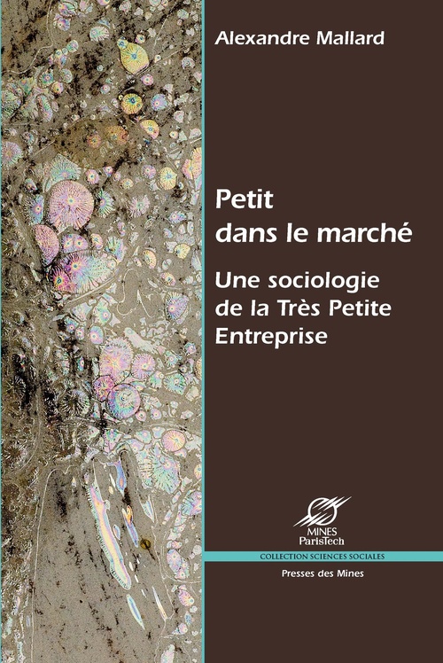 Couverture ebook de Petit dans le marché, de Alexandre Mallard