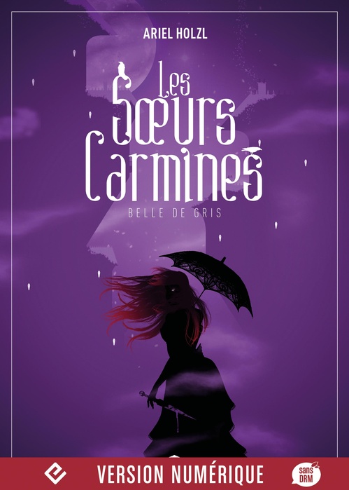 ebook cover of Belle de gris, by Ariel Holzl