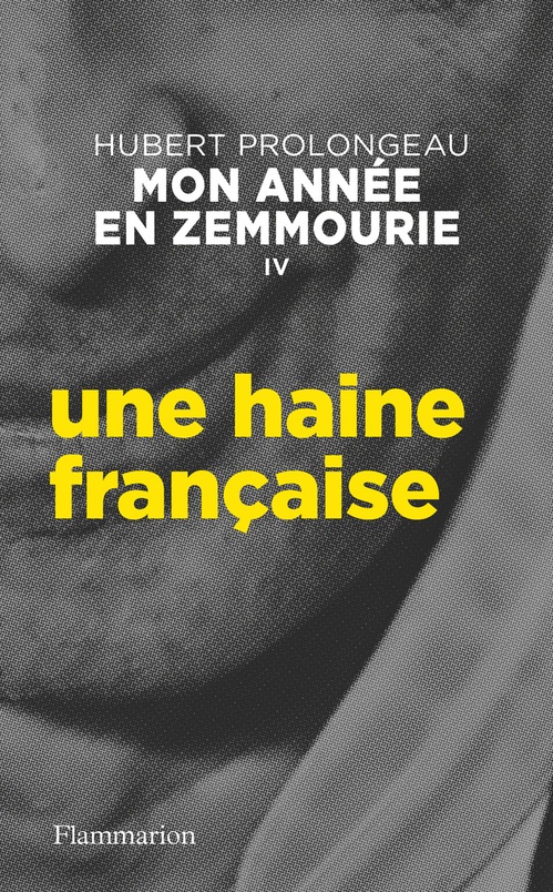 ebook cover of Mon année en Zemmourie (IV) - Une haine française, by Hubert Prolongeau