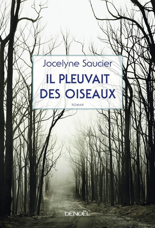 ebook cover of Il pleuvait des oiseaux, by Jocelyne Saucier