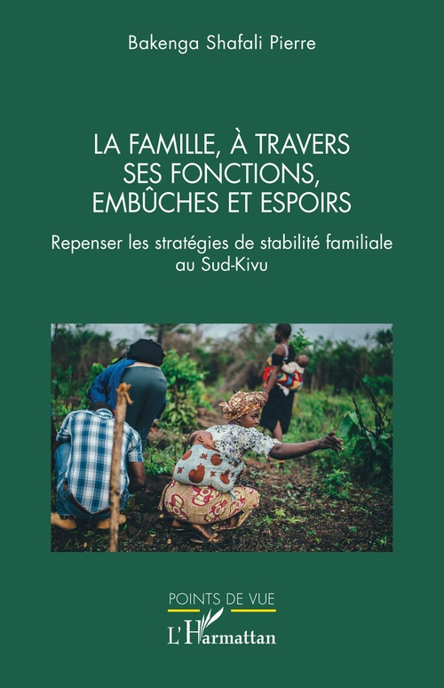 ebook cover of La famille, à travers  ses fonctions, ses embûches et espoirs, by Pierre Bakenga Shafali