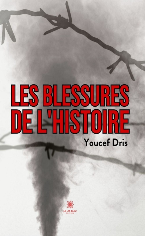Couverture ebook de Les blessures de l'histoire, de Youcef Dris