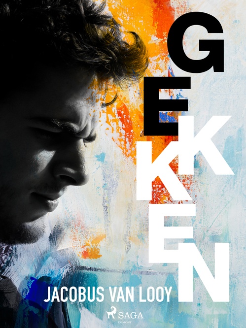 Couverture ebook de Gekken, de Jacobus Van Looy