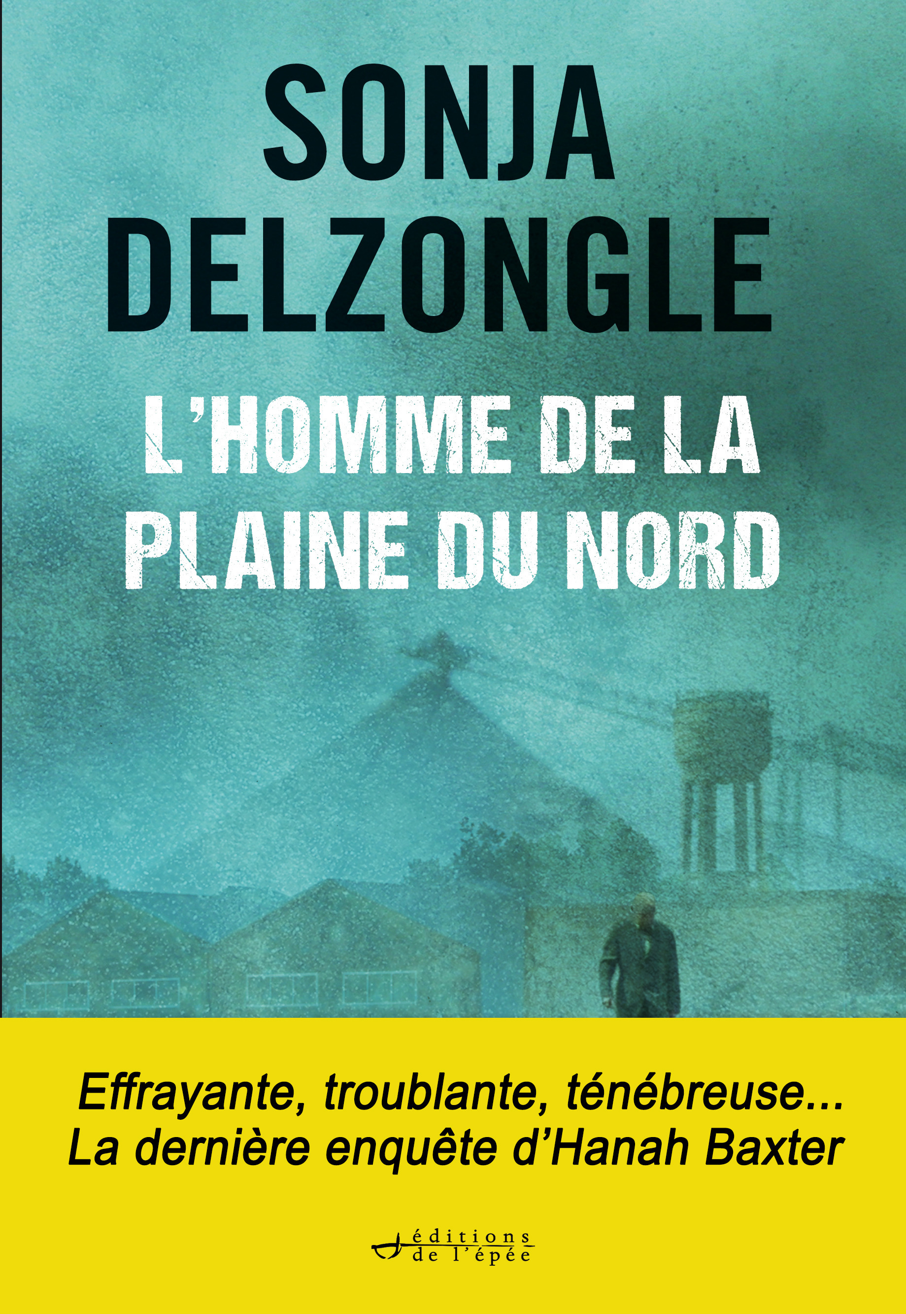 ebook cover of L'Homme de la plaine du Nord, by Sonja Delzongle