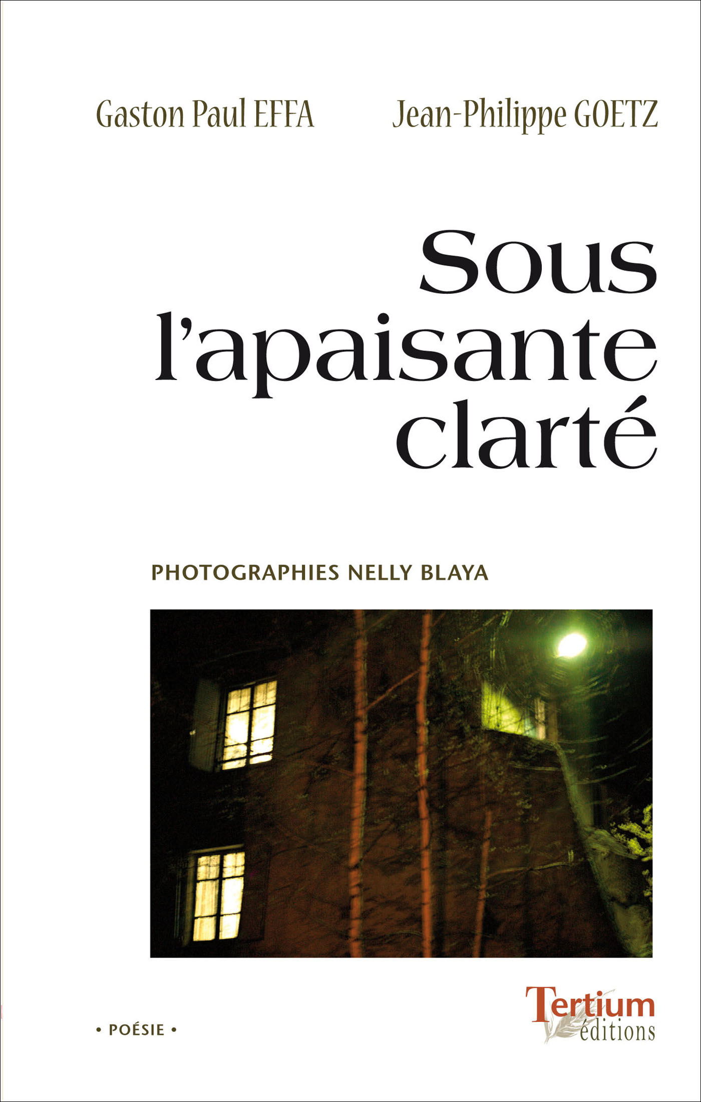 ebook cover of Sous l´apaisante clarté, by Gaston-Paul Effa, Jean-philippe Goetz