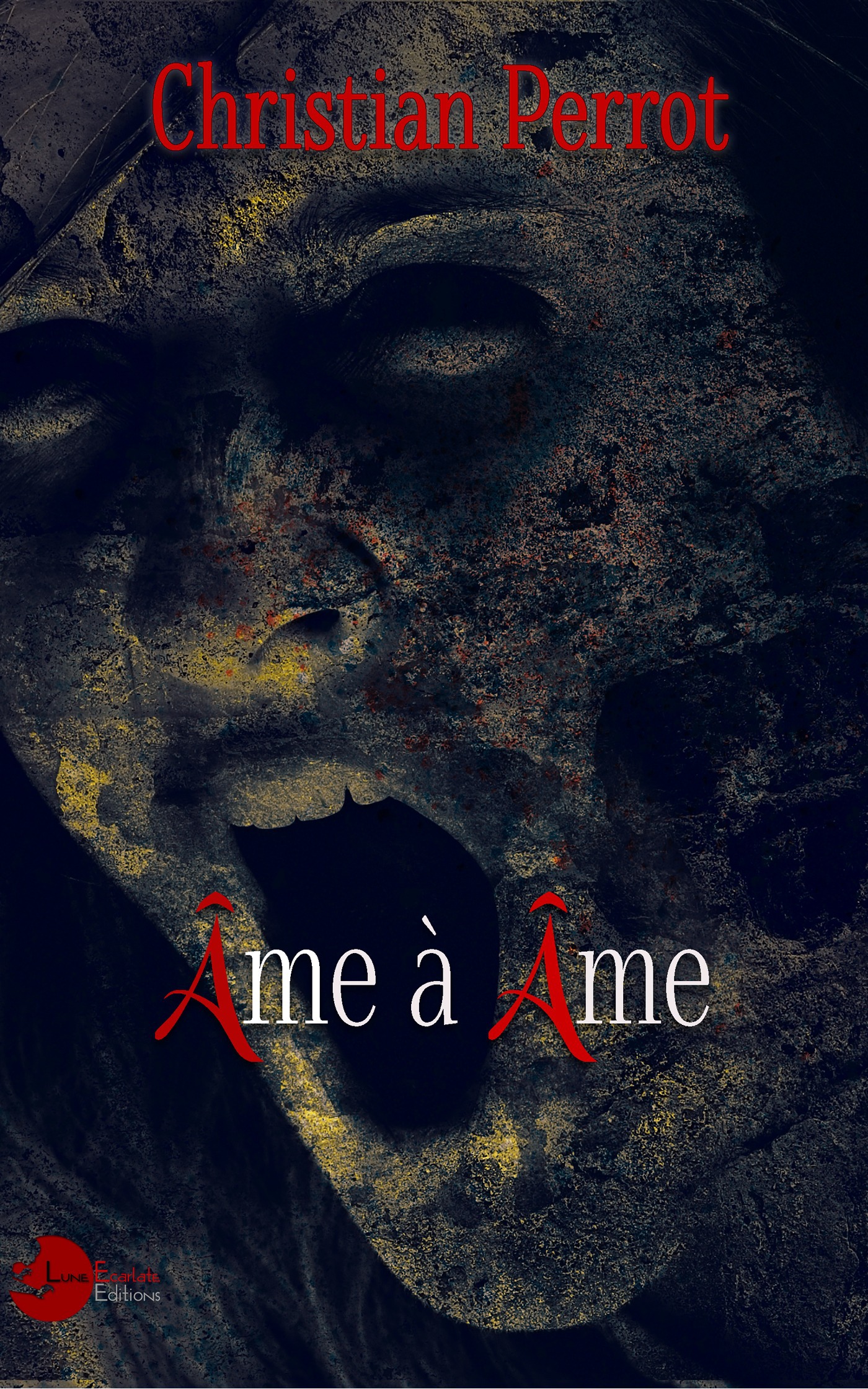 ebook cover of Âme à Âme, by Christian Perrot