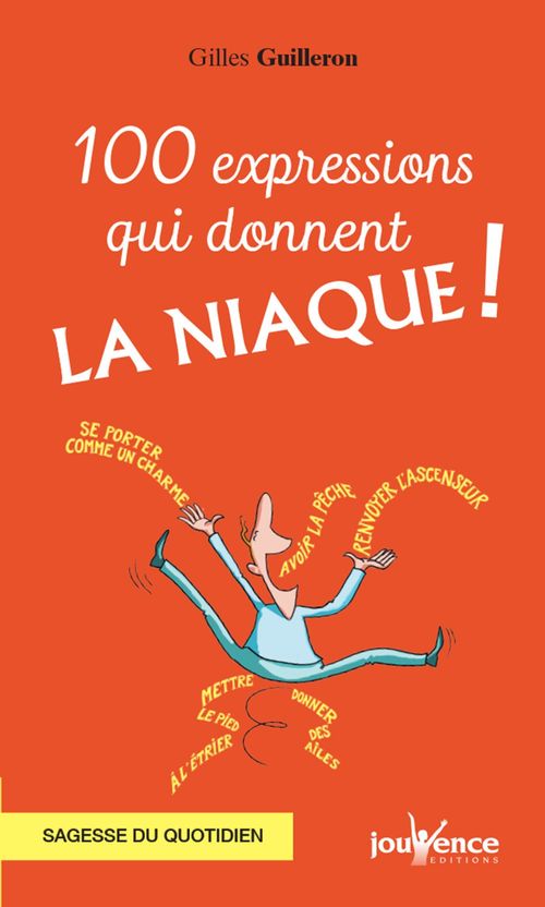 ebook cover of 100 expressions qui donnent la niaque !, by Gilles Guilleron
