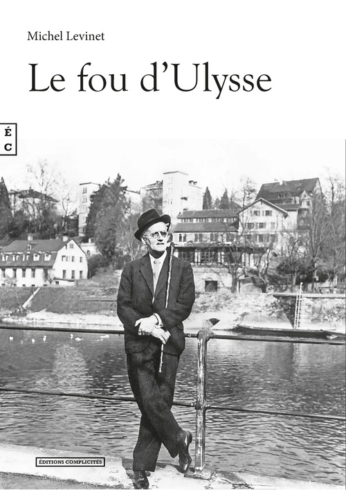 ebook cover of Le fou d'Ulysse, by Michel Levinet