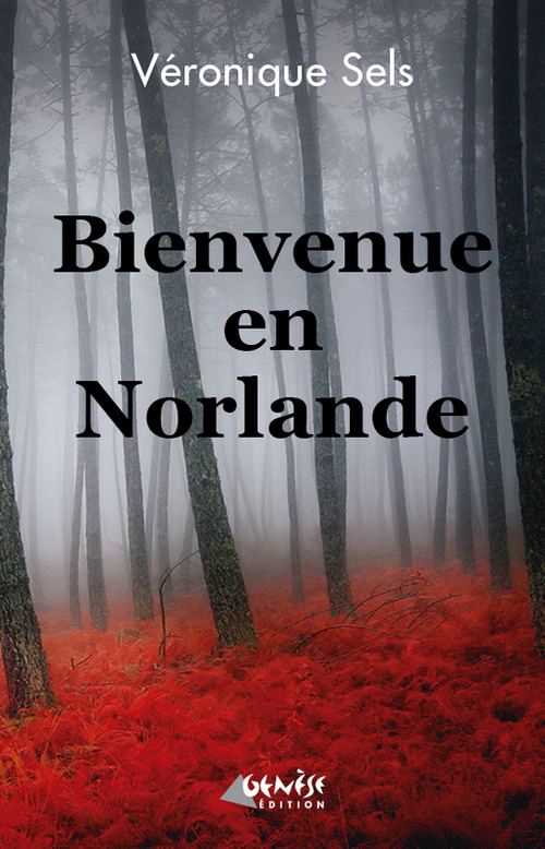 ebook cover of Bienvenue en Norlande, by Véronique Sels