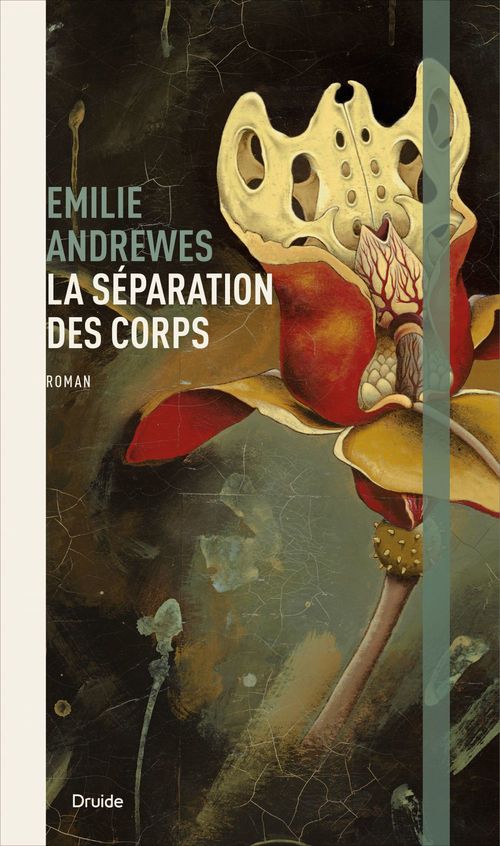 Couverture ebook de La séparation des corps, de Andrewes Emilie