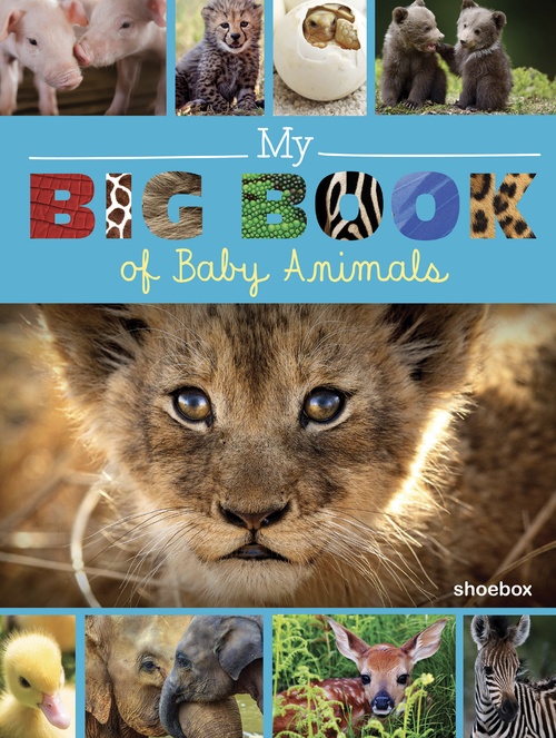 Couverture ebook de My Big Book of Baby Animals, de Marie-Ève Côté