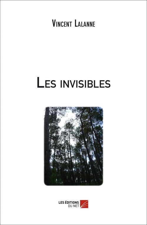 ebook cover of Les invisibles, by Vincent Lalanne
