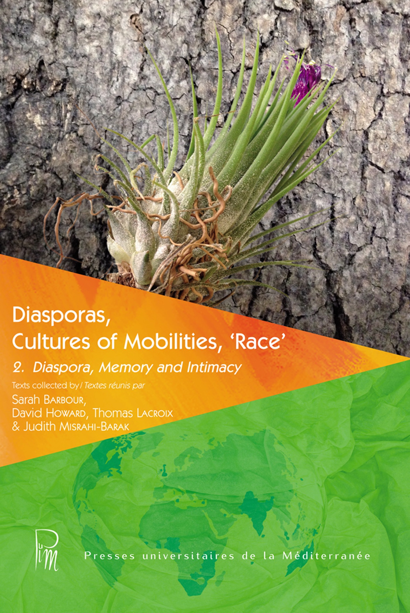 ebook cover of Diasporas, Cultures of Mobilities, `Race´ 2, by