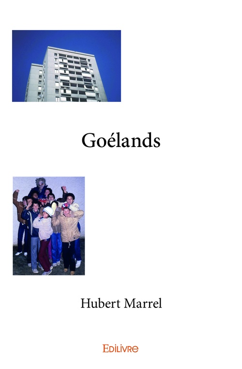 ebook cover of Goélands, by Hubert Marrel