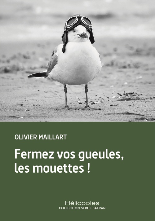 Couverture ebook de Fermez vos gueules, les mouettes !, de Olivier Maillart