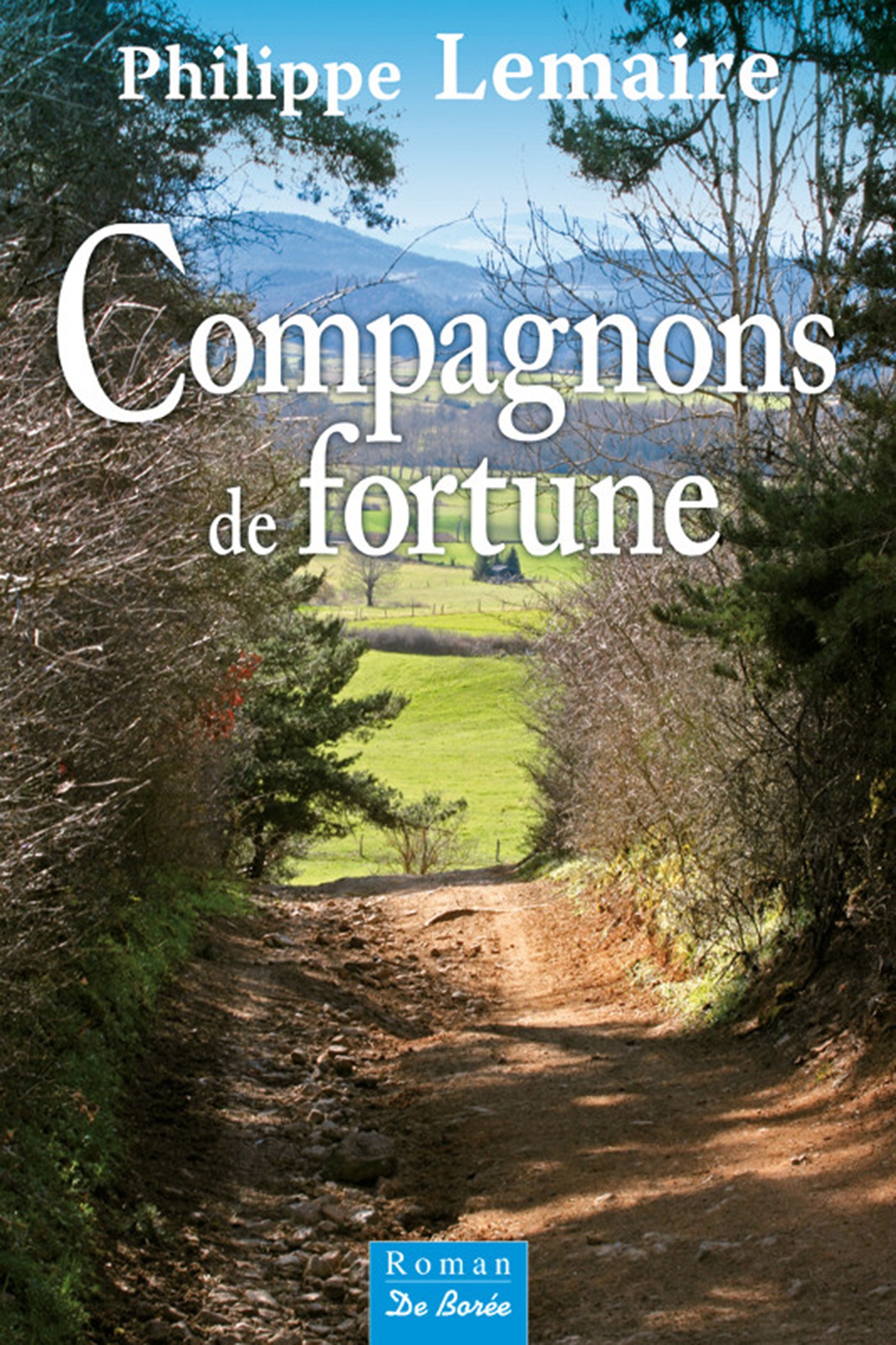 ebook cover of Compagnons de fortune, by Philippe Lemaire