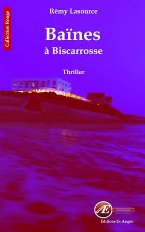 Couverture ebook de Les chroniques policières de Biscarrosse - Tome 2, de Rémy Lasource