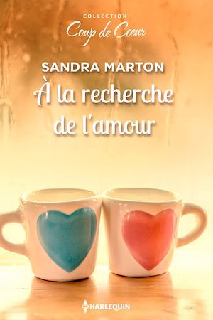 Couverture ebook de A la recherche de l'amour, de Sandra Marton