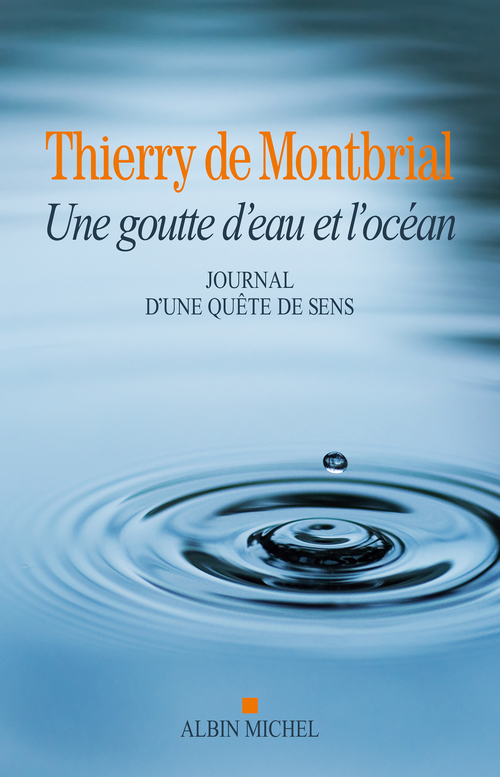ebook cover of La Goutte d'eau et l'océan, by Thierry de Montbrial