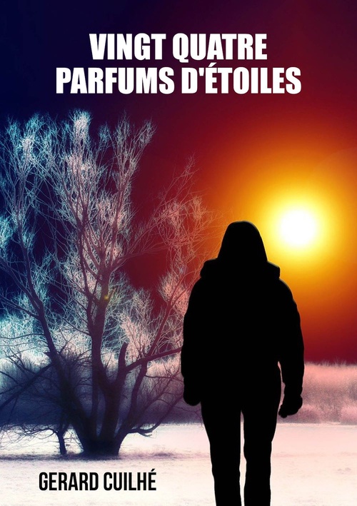 ebook cover of Vingt quatre parfums d'étoiles, by Gérard Cuilhé