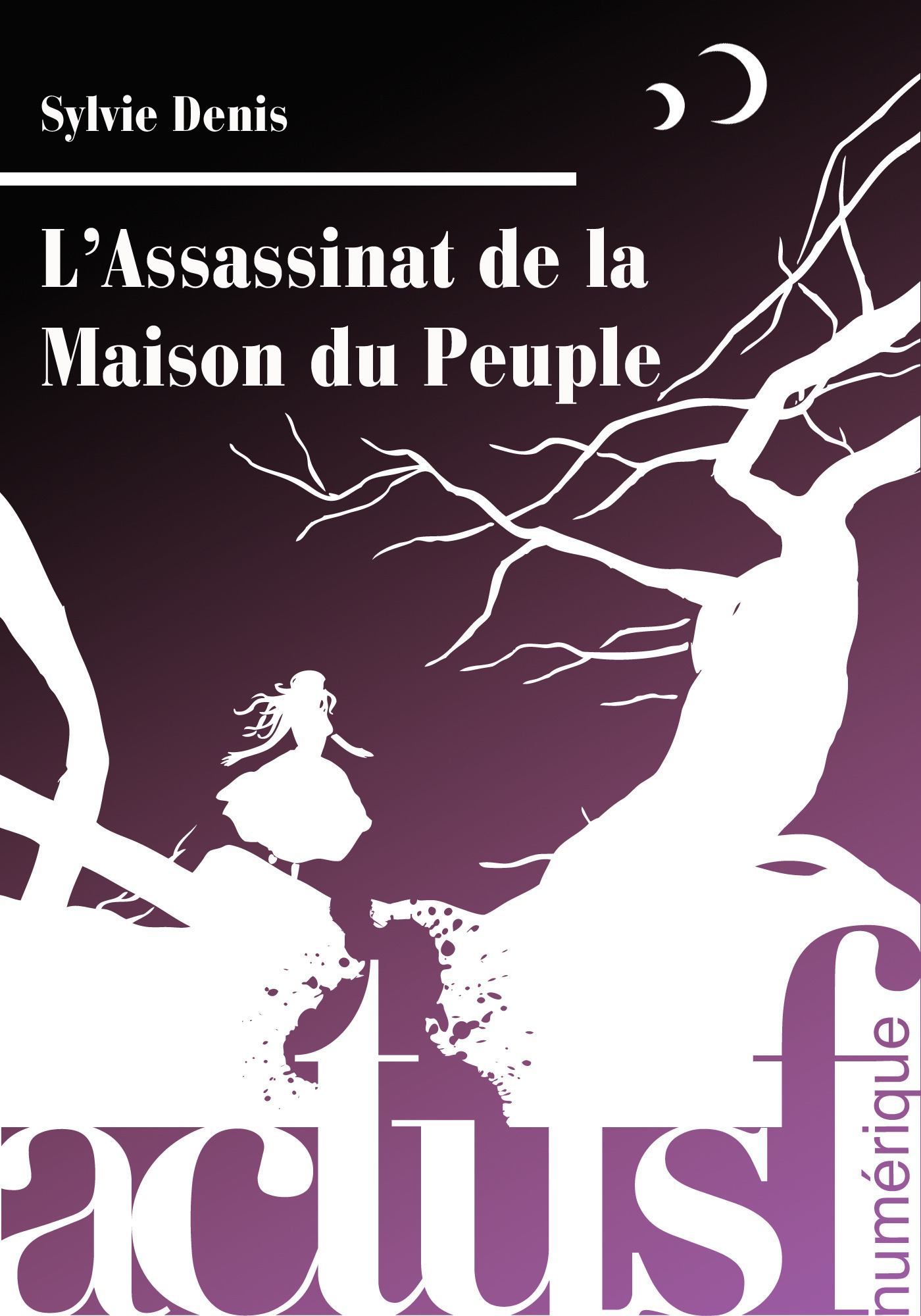 Couverture ebook de L'assassinat de la maison du peuple, de Sylvie Denis
