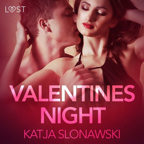 audiobook cover of Valentine's Night - Erotic Short Story, by Katja Slonawski