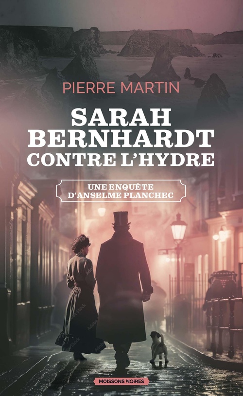 ebook cover of Sarah Bernhardt contre l'hydre, by Pierre Martin