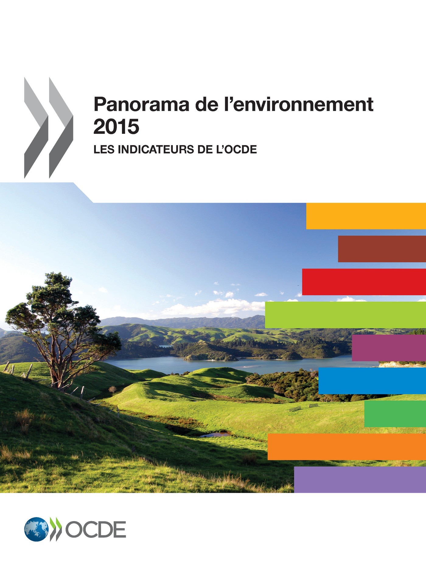 ebook cover of Panorama de l'environnement 2015, by Collectif