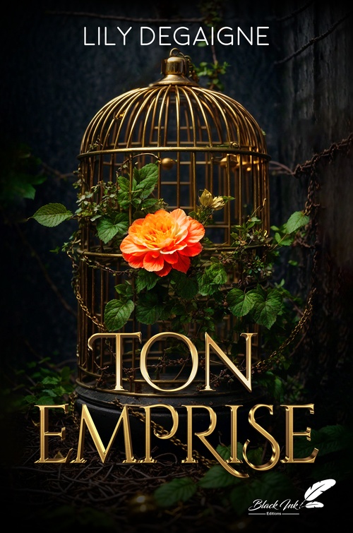 ebook cover of Ton emprise, by Lily Degaigne
