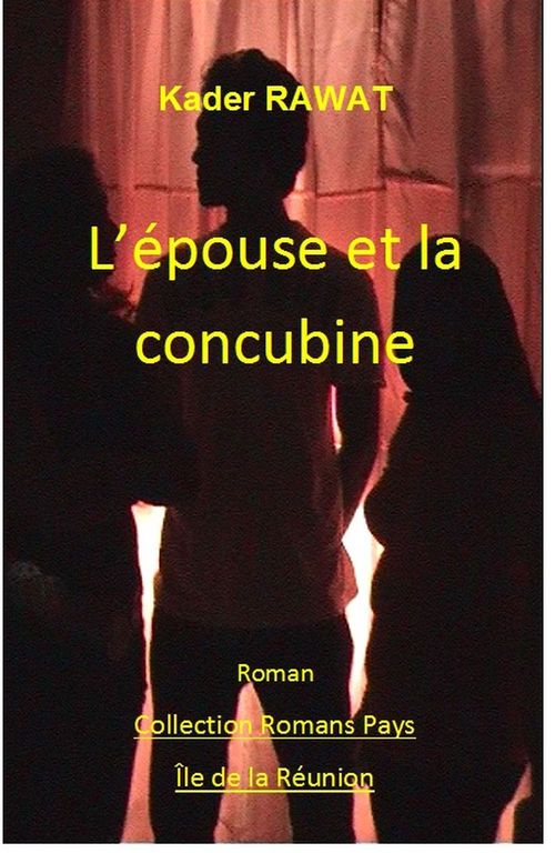 Couverture ebook de Les gens de la colonie. Tome 2 : L'épouse et la concubine, de Kader Rawat