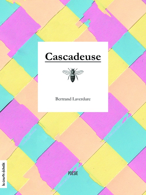 ebook cover of Cascadeuse, by Laverdure Bertrand