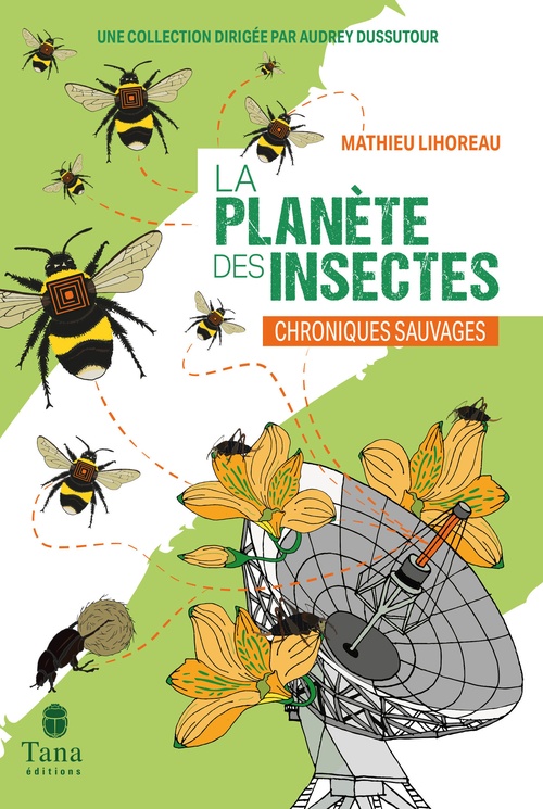 ebook cover of La Planète des insectes, by Mathieu Lihoreau