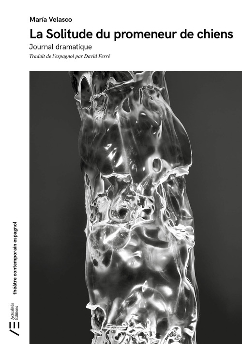 ebook cover of La Solitude du promeneur de chiens, by Maria Velasco