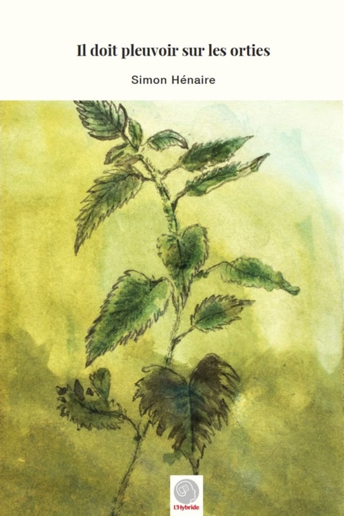 ebook cover of Il doit pleuvoir sur les orties, by Simon Hénaire