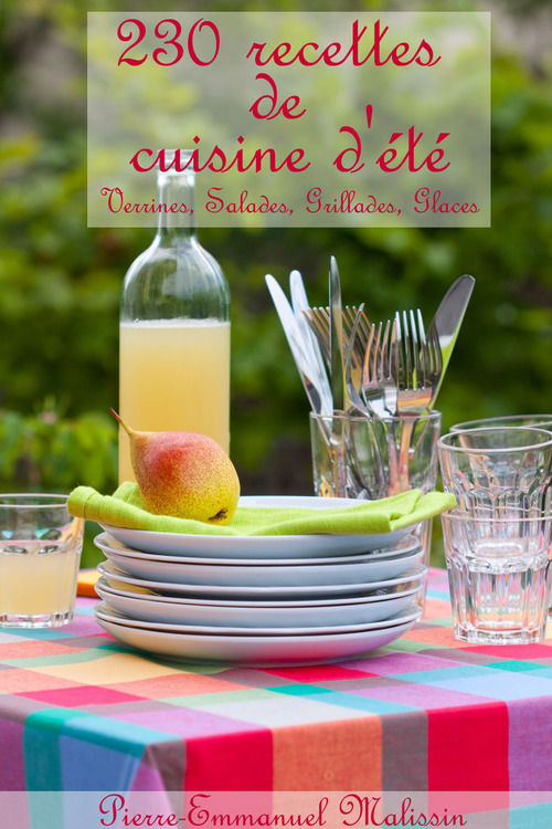 ebook cover of 230 recettes de cuisine d'été ; verrines, salades, grillades, glaces, by Pierre-emmanuel Malissin